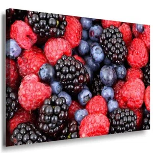  Beeren Sorten Leinwandbild AK Art Bilder Mehrfarbig Kunstdruck Wandbild TOP XXL - Bild 1 von 5