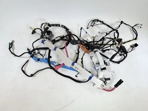 TESLA MODEL 3 RIGHT PASSENGER SIDE MAIN BODY WIRE WIRING HARNESS OEM 2017 - 2020 - Bild 1 von 5