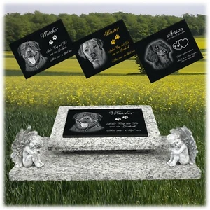 Granit Tier Grabstein Grabplatte Grabtafel 60x40 cm Foto+Text Gravur Hund-gg18s - Bild 1 von 4