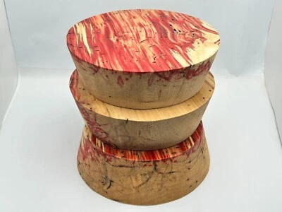 BUCKLEY SHOP WORKS 3 BOX ELDER MAPLE BOWL BLANKS, 8"X3" FREE SHIP WOOD LATHE TURNING BLANKS BLANK