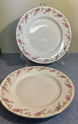 2 platos de almuerzo 8" Eschenbach - Baviera, Alemania - Tendrils de flores rosas Foto 1 de 4