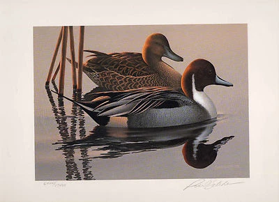 1983 Federal Duck Stamp RW50 Pintails Painting Print Medallion Ed. Phil Scholer - Image 1 of 2