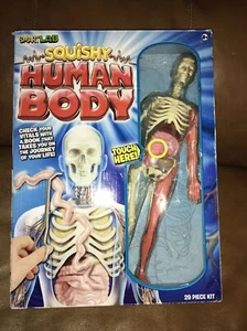 SmartLab Toys Squishy Human Body - Picture 1 of 9