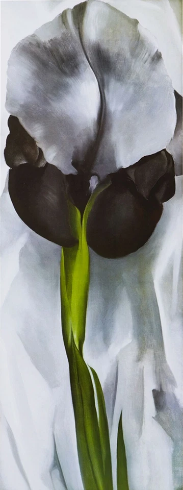 ГРУЗИЯ О'КИФФ ТЕМНЫЙ ИРИС МИНИМАЛИЗМ ИСКУССТВО ЖИКЛЕ ПЕЧАТЬ ХОЛСТ - Изображение 1 из 1