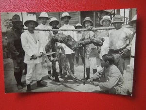 J6999 POSTCARD BELGIUM CONGO ASIAN Gevaert Python Anaconda CAPTURE SEE DESCR - Picture 1 of 5
