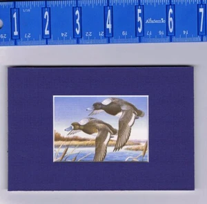 1983 Illinois Lesser Scaup State Hunting Duck Stamp Art Print - Matted  - Picture 1 of 1