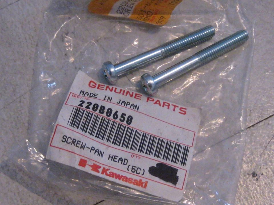 KAWASAKI Z1/Z1-R/KZ/H2/H1/S3/S2/S1/A/F/W TORNILLOS DE CABEZA PANORÁMICA 6 X 50 MM (2) ¡NOS! Foto 1 de 1