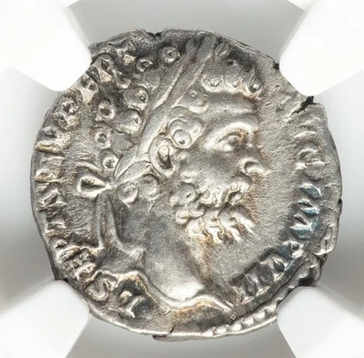 EMPIRE Septimius Severus & Victory NGC Choice Ancient Silver Roman Coin 566 - Image 1 of 4