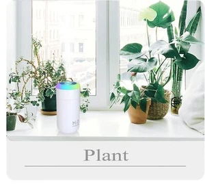 Plant Humidifier, 350ml USB Mini Humidifier for Plants, Small Plant Humidifier - Picture 1 of 5