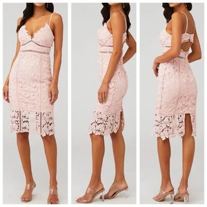 Bardot Botanica Lace Dress in Light Pink size 4/XS - Picture 1 of 9