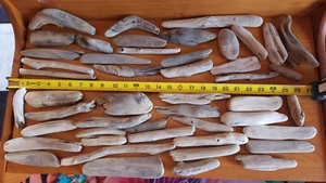 48 Unique Medium Lake Superior Driftwood for Crafts, Terrariums, & more - Picture 1 of 24
