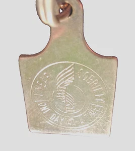 Alcoholics Anonymous AA Key Chain 1 Year ODAT Sobriety Chip Token Keyring - Picture 1 of 9