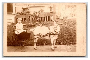 Goat Cart RPPC ~ Little girl in a Goat pulled wagon - Picture 1 of 2