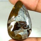 100% Natural AA+ Fossil Colus Pear Shape Cab Loose Gemstones 35x21x06mm 33.05Cts