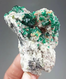 Dioptas - Tsumeb Mine, Namibia - Bild 1 von 3