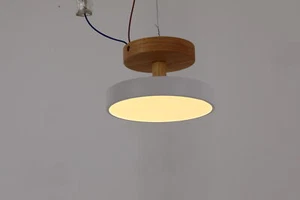 Ceiling Mount Light Fixture, Wide Voltage Ceiling Lamp W/ Three Light Colors - Picture 1 of 11