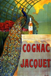 COGNAC JACQUET BLUE PEACOCK BIRD BOTTLE DRINK BRANDY FRENCH VINTAGE POSTER REPRO - Picture 1 of 3
