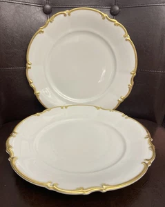 Set of 2 Hutschenreuther Selb SYLVIA BRIGTHON 7763 Dinner Plates 10 1/2” Germany - Picture 1 of 5