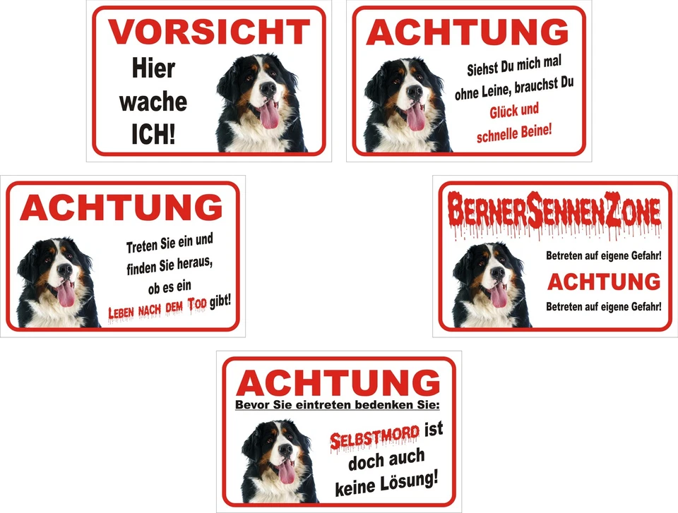 Schild - Achtung Berner Sennenhund - Größe 15x20 bis 60x40cm Hund Versch. Texte