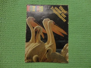 Apotheken-Zeitschrift Junior 06 / 1973 * Vögel Tropensonne ua...  Comics - Bild 1 von 1