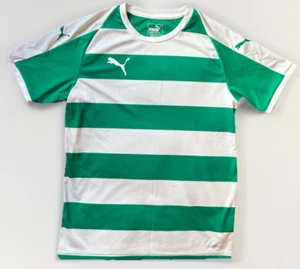 Puma Liga Soccer Jersey | Youth XL | Green Striped, Drycell - Picture 1 of 9