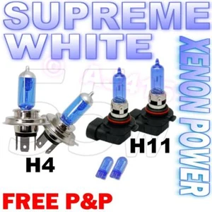 Xenon H4 H11 High/Low Fog Lights FORD FIESTA MK6 & ST - Picture 1 of 1