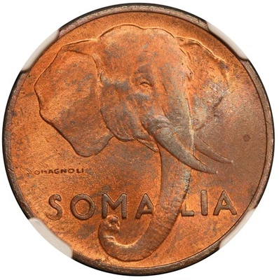 AH1369 (1950) Somalia Elephant 5 Centesimi Coin - NGC MS 63 RB - KM #2 - Image 1 of 4