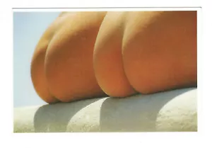 Vintage Nude Dutch Postcard, Nude Postcard, Unused/Unposted, Naked Butts! Risque - Picture 1 of 4