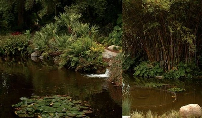 Fujifilm FinePix S3 Pro DSLR Camera Body {12.1MP} (Body Only) - Image 1 of 4