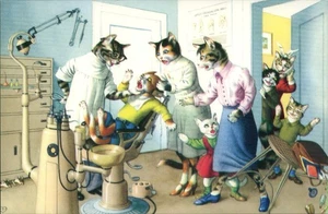 Postal humorística del dentista de gatos - Mainzer gatos impresos en Turquía - Imagen 1 de 2