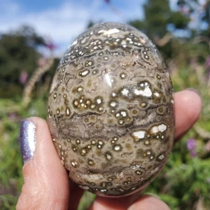 Kambaby Ocean Jasper Old Stock RARE Orbicular Freeform Palm Stone | 186 gram - Picture 1 of 9