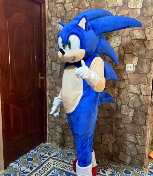 Disguise Fantasia Sonic the Hedgehog, fantasia oficial do filme