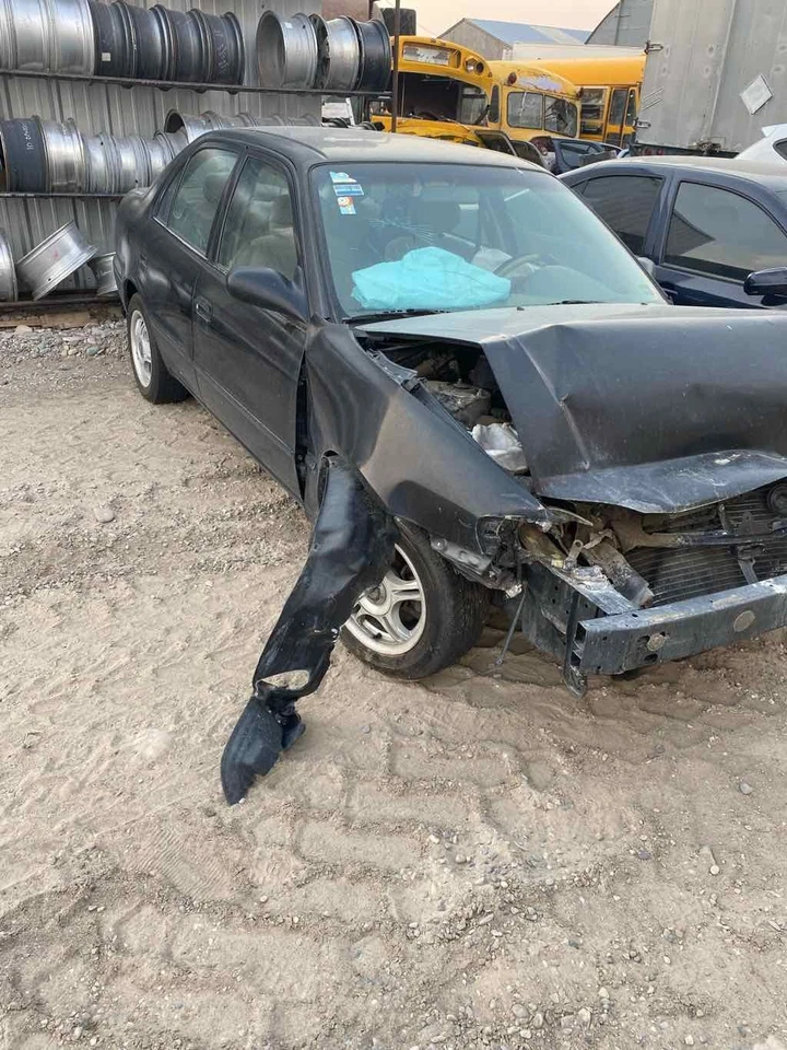 Used Tailgate fits: 1999 Toyota Corolla  Grade A Foto 1 de 4