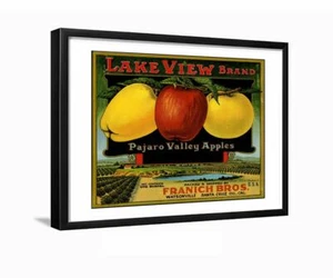 Crate Label Fruit Advertising Art Print Framed Lake View Pajaro Valley apples - Picture 1 of 3