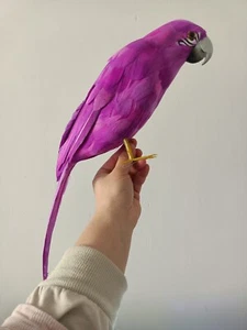 simulation parrot model foam and feather purple parrot bird gift about 42cm - Picture 1 of 5