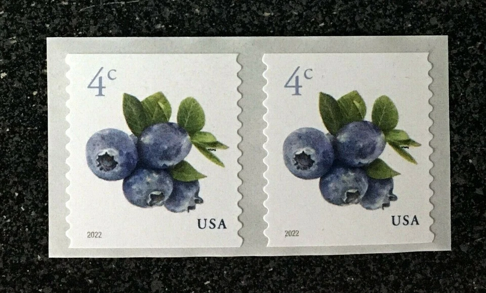 2022USA #5653 4c Blueberries - Coil Pair  Mint  NH    blueberry - Image 1 of 1