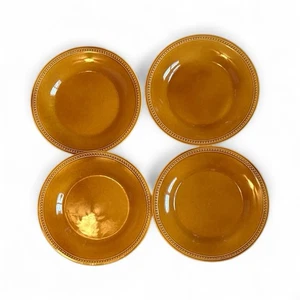 PIER 1 ☆ Spice Route Ginger ☆ Set of 4 Dinner Plates ☆ Beaded Stoneware - Picture 1 of 4