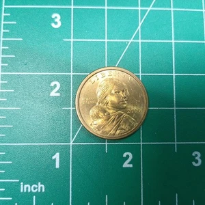 2000 P SACAGAWEA One Dollar Gold Tone US Currency Coin - Picture 1 of 12