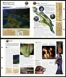 Wildlife Of New Guinea #10 World - Wildlife Explorer Fold-Out Card - Picture 1 of 1