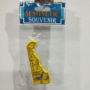 State Souvenir Magnet Delaware Fridge Refrigerator State Shaped Keepsake - Picture 1 of 2