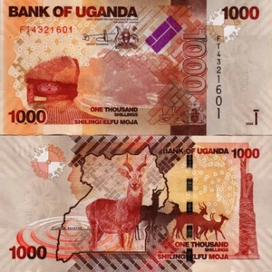 UGANDA - 1000 shillings 2022 FDS UNC - Picture 1 of 1