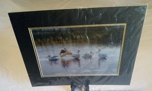 Pelican Print 12x16 Gold Trim - Picture 1 of 6