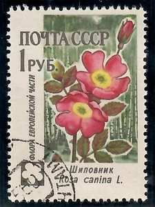 1960 USSR, Russia: Scott #2415 ( 1r - Flowers - Dog Rose ) Used - Picture 1 of 1