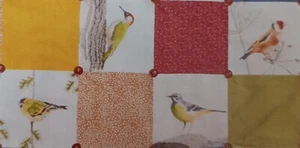 4 British Birds Cross stitch PATTERN ONLY, Carefully removed from a magazine - Picture 1 of 1