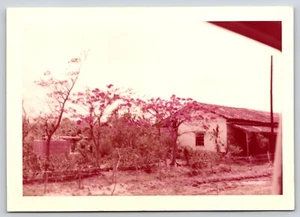 Foto encontrada de árboles en llamas cerca de Tuxtla Gutiérrez México década de 1950 - Imagen 1 de 2