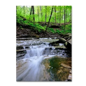 Valley Stream by Kurt Shaffer Canvas Wall Art, 14 by 19-Inch - Picture 1 of 3