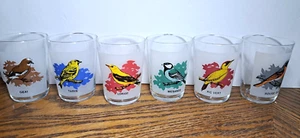 VINTAGE MATTIERTE FRONTGLÄSER 4 OZ MIT VÖGELN 6 STÜCK - Bild 1 von 14