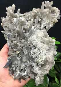 996g Natural Unique Skeletal Crystal Cluster Specimens Inner Mongolia ip0247 - Bild 1 von 12