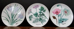 Vintage Set of 3 SHAFFORD Salad Plates Herb & Spice Pattern 7½" Diameter EUC - Picture 1 of 10