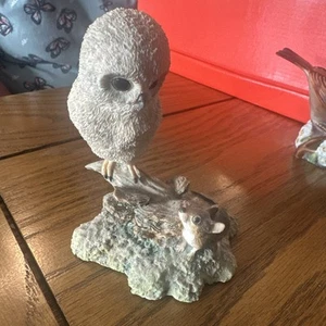 Border Fine Arts ‘Baby Owl and Mouse’ by Ray Ayres 1983 - Picture 1 of 2